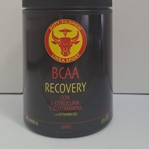 BCAA RECOVERY CON L-CITRULLINA L-GLUTAMMINA CON VITAMINA B6 GUSTO ARANCIA 400G DOTT.FILOMENI