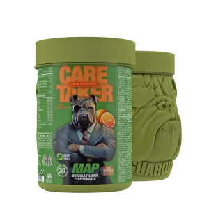 Amminoacidi BCAA Caretaker® 10:1:1 ( gusto silk orange da 480gr)